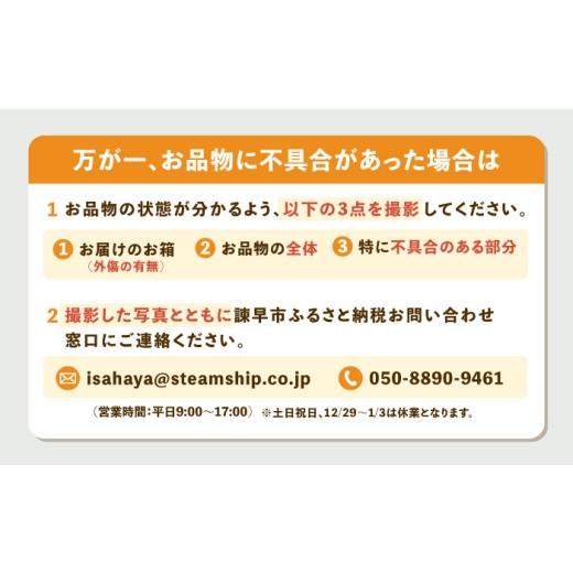 ふるさと納税 野菜類 玉ねぎ 長崎県 諫早市 タマネギ 5kg ／ たまねぎ タマネギ 玉ねぎ 玉葱 玉ネギ 野菜 やさい 新玉 新たま 新玉ねぎ ／ 諫早市 ／スマイル…の画像