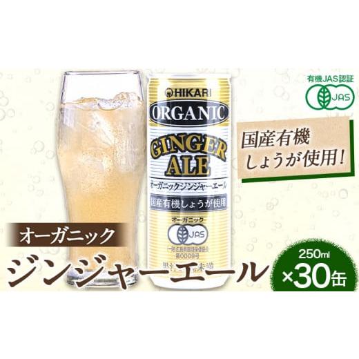 ふるさと納税 炭酸飲料 徳島県 上板町 [年内に届く]ジンジャーエール 250ml×30缶 光食品株式会社[3-7営業日以内に出荷]徳島県 上板町 ジュース 炭酸水 光…