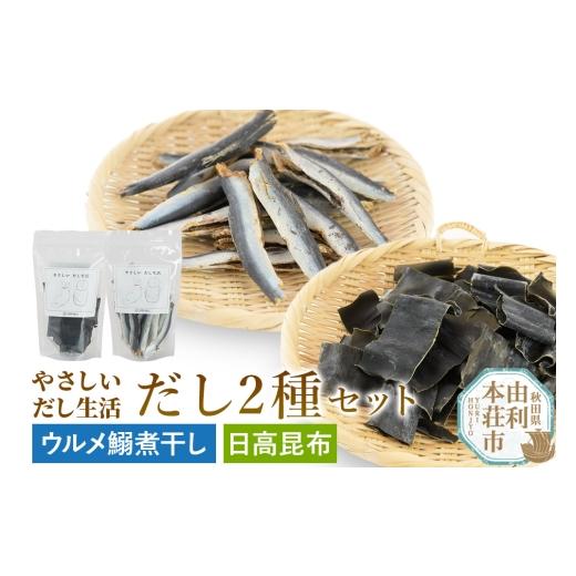 ふるさと納税 塩・だし 昆布 秋田県 由利本荘市 津野商店 日高昆布(カット)とウルメ鰯煮干しのセット(日高昆布60g・ウルメ鰯煮干し180g)