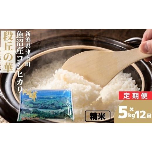 ふるさと納税 米 コシヒカリ 新潟県 津南町 12ヶ月定期便 令和7年産 魚沼産コシヒカリ 段丘の華 5kg | 新潟産こしひかり 新潟県産コシヒカリ 魚沼産こしひか…
