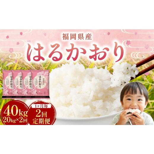 ふるさと納税 米 福岡県 香春町  1ヶ月毎2回定期便 はるかおり 20kg 計40kg ／ 米 コメ お米 ライス ご飯 ごはん 飯 食品 精米 定期便 常温 福岡県 香春町 1ヶ…の画像