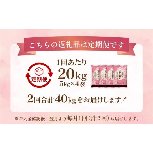 ふるさと納税 米 福岡県 香春町  1ヶ月毎2回定期便 はるかおり 20kg 計40kg ／ 米 コメ お米 ライス ご飯 ごはん 飯 食品 精米 定期便 常温 福岡県 香春町 1ヶ…の画像