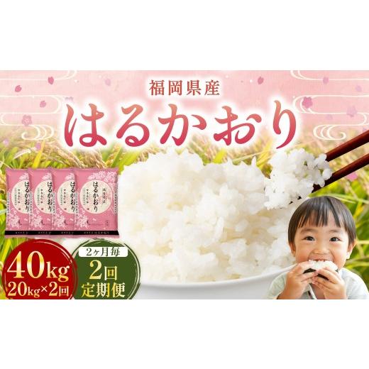 ふるさと納税 米 福岡県 香春町  2ヶ月毎2回定期便 はるかおり 20kg 計40kg ／ 米 コメ お米 ライス ご飯 ごはん 飯 食品 精米 定期便 常温 福岡県 香春町 2ヶ…の画像