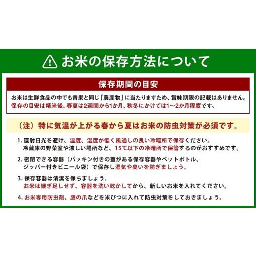 ふるさと納税 米 福岡県 香春町  2ヶ月毎2回定期便 はるかおり 20kg 計40kg ／ 米 コメ お米 ライス ご飯 ごはん 飯 食品 精米 定期便 常温 福岡県 香春町 2ヶ…の画像