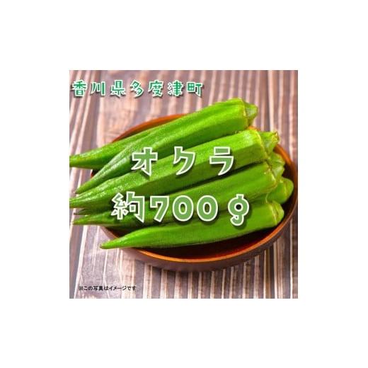 ふるさと納税 セット・詰合せ 香川県 多度津町 オクラ約700g 10ネットまたはバラ詰め