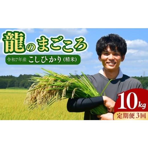 ふるさと納税 米 コシヒカリ 茨城県 龍ケ崎市 3ヵ月定期便 令和7年度新米 龍ケ崎のコシヒカリ 10kg(5kg×2袋) ? こしひかり コシヒカリ お米 米 こめ 白米 精…