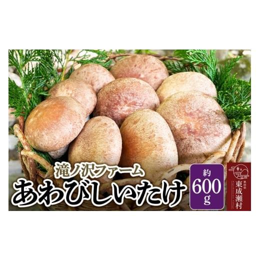 ふるさと納税 野菜類 きのこ 秋田県 東成瀬村 椎茸 あわびしいたけ 約600g 滝ノ沢ファーム 菌床 シイタケ きのこ 食べ応え 肉厚 茸 秋田県 国産 大ぶり 高品質
