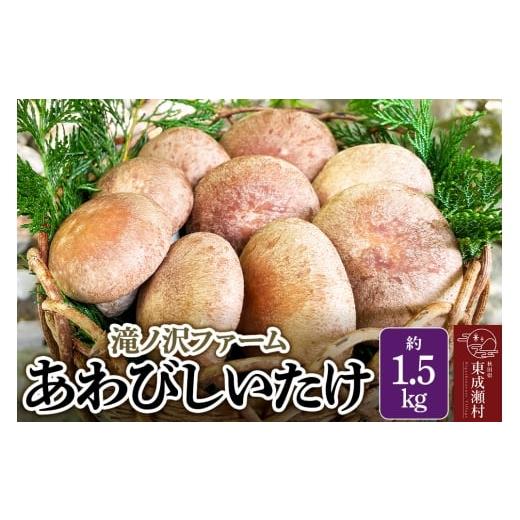 ふるさと納税 野菜類 きのこ 秋田県 東成瀬村 椎茸 あわびしいたけ 約1.5kg 滝ノ沢ファーム 菌床 シイタケ きのこ 食べ応え 肉厚 茸 秋田県 国産 大ぶり 高品…