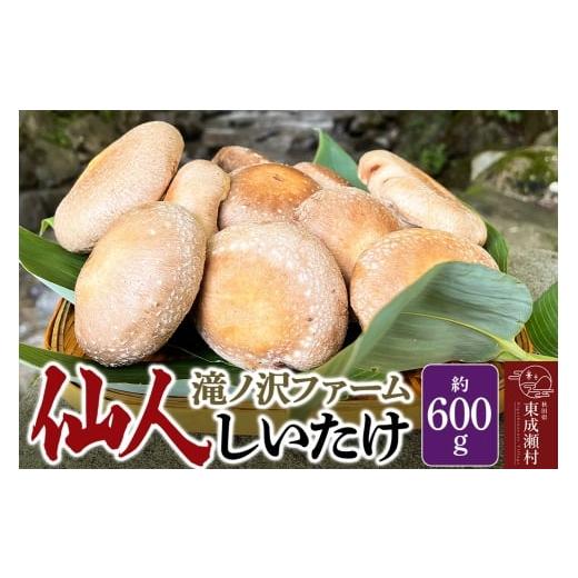 ふるさと納税 野菜類 きのこ 秋田県 東成瀬村 椎茸 仙人しいたけ 約600g 滝ノ沢ファーム 菌床 シイタケ きのこ 食べ応え 肉厚 茸 秋田県 国産 大ぶり 高品質