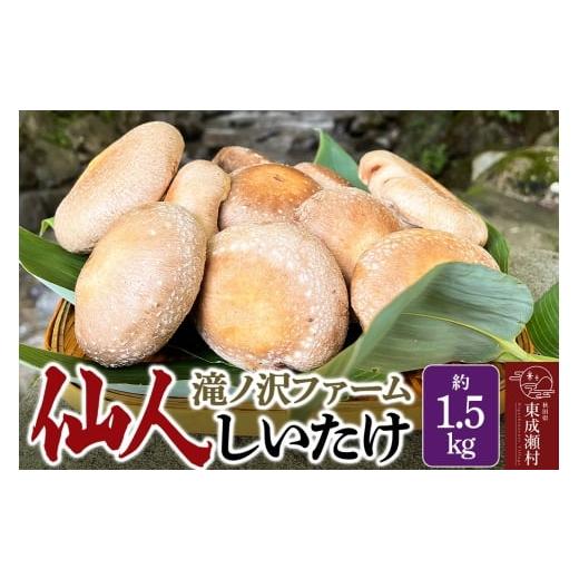 ふるさと納税 野菜類 きのこ 秋田県 東成瀬村 椎茸 仙人しいたけ 約1.5kg 滝ノ沢ファーム 菌床 シイタケ きのこ 食べ応え 肉厚 茸 秋田県 国産 大ぶり 高品質