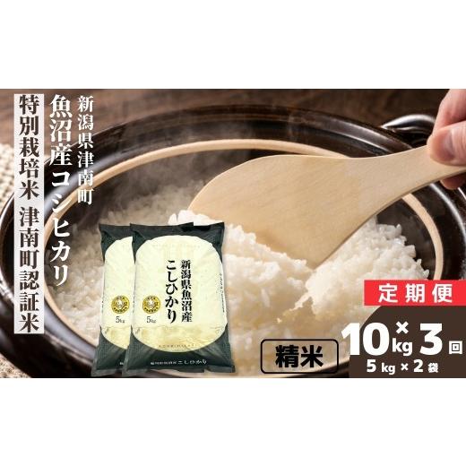 ふるさと納税 米 コシヒカリ 新潟県 津南町 3ヶ月定期便 令和7年産 魚沼産コシヒカリ 特別栽培米 津南町認証米 10kg (5kg×2袋) | 新潟産こしひかり 新潟県…