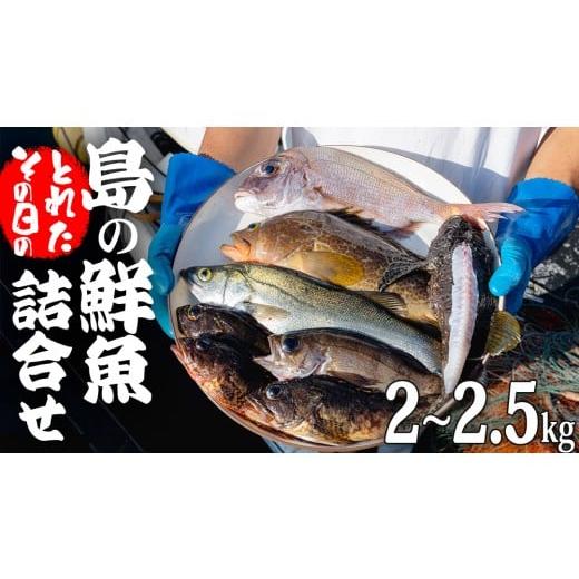 ふるさと納税 旬の鮮魚等 広島県 大崎上島町 大崎上島 鮮魚 セット 2〜2.5kg 詰合せ 詰め合わせ 新鮮 おまかせ 魚 刺身 煮魚 天ぷら 2〜2.5kg