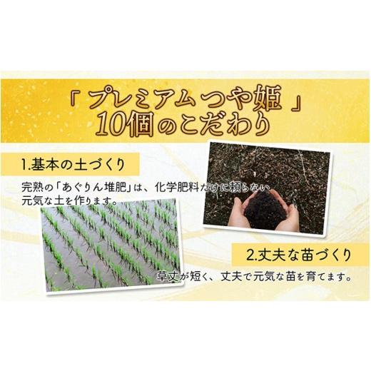 ふるさと納税 米 つや姫 山形県 庄内町  5月下旬発送 庄内米6か月定期便 JAあまるめ PREMIUMつや姫 2kg 入金期限：2026.4.25 プレミアム つや姫 ブランド米 米…の画像