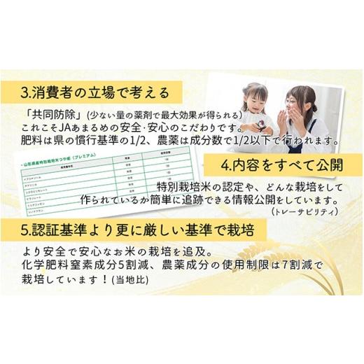 ふるさと納税 米 つや姫 山形県 庄内町  5月下旬発送 庄内米6か月定期便 JAあまるめ PREMIUMつや姫 2kg 入金期限：2026.4.25 プレミアム つや姫 ブランド米 米…の画像