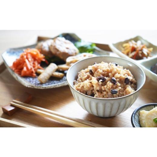 ふるさと納税 玄米 福岡県 宗像市 発芽酵素玄米 15食セット MINORI CAF