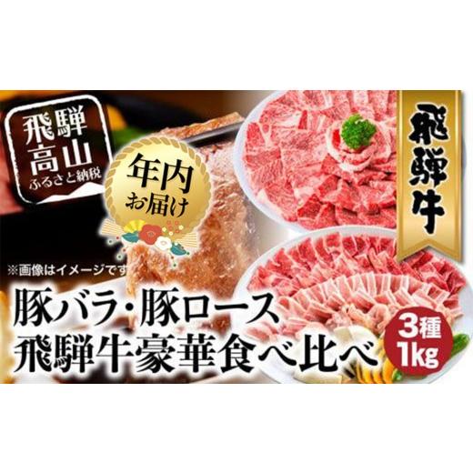 ふるさと納税 牛肉 すき焼き 岐阜県 高山市 12月配送 飛騨牛 & 飛騨豚 焼肉 セット 合計 1kg | 年内発送 肉 国産 牛 豚 29-950 ファミリーストアさとう CY03…