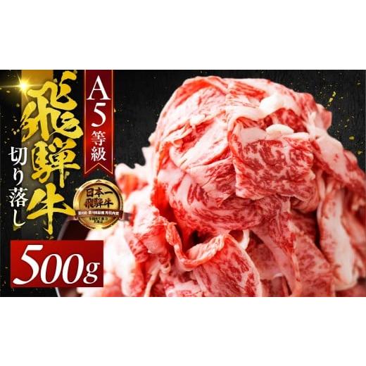 ふるさと納税 牛肉 岐阜県 大垣市 A5 飛騨牛 便利な 切り落とし 500g 切落し 部位 おまかせ 訳あり 高級 牛肉 黒毛和牛 ブランド牛 和牛 国産 お肉 肉 高級 お…