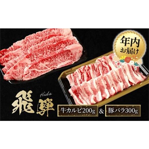 ふるさと納税 牛肉 焼肉・バーベキュー 岐阜県 高山市 12月配送 飛騨牛 カルビ200g &amp; 飛騨豚 バラ300g | 年内発送 食べ比べ セット 焼肉 国産牛 豚肉 飛…