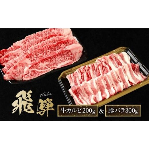 ふるさと納税 牛肉 焼肉・バーベキュー 岐阜県 高山市 飛騨牛 カルビ200g &amp; 飛騨豚 バラ300g | 食べ比べ セット 焼肉 国産牛 豚肉 飛騨高山 人気 おいしい…