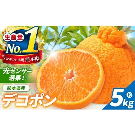 ふるさと納税 みかん・柑橘類 デコポン 熊本県 玉名市 光センサー 選果 熊本県産 デコポン 約 5kg | 果物 くだもの フルーツ 柑橘 柑橘類 でこぽん 旬 味覚 熊…