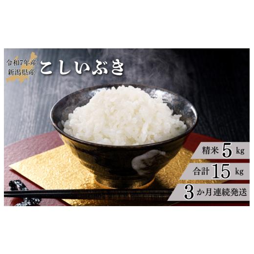 ふるさと納税 米 新潟県 見附市 3か月定期便 R7年産 新潟県産 こしいぶき 5kg (精米)