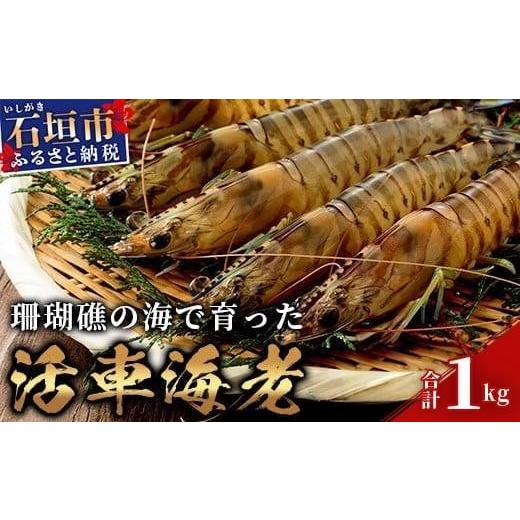 ふるさと納税 エビ 車エビ 沖縄県 石垣市 活車えび 1kg 季節限定 50尾前後 沖縄県 石垣島 石垣市 活き くるまえび 車エビ BE-3 1kg 50尾前後