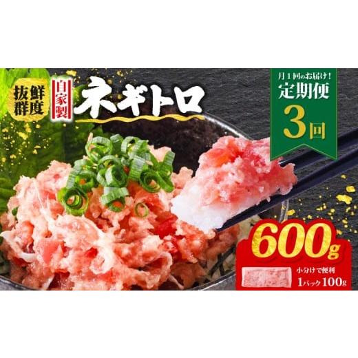 ふるさと納税 マグロ 愛媛県 松山市 定期便3回 ネギトロ 月1回 600g (100g×6パック) 小分け | まぐろ 定期便 鮪 ネギトロ ねぎとろ まぐろたたき まぐろのた…