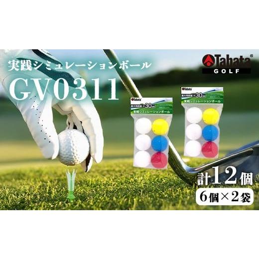 ふるさと納税 ゴルフグッズ ボール 茨城県 常陸大宮市 タバタ Tabata ソフトボール GV0311 2個セット ゴルフ ゴルフ用品 練習用ボール 実践シミュレーション…