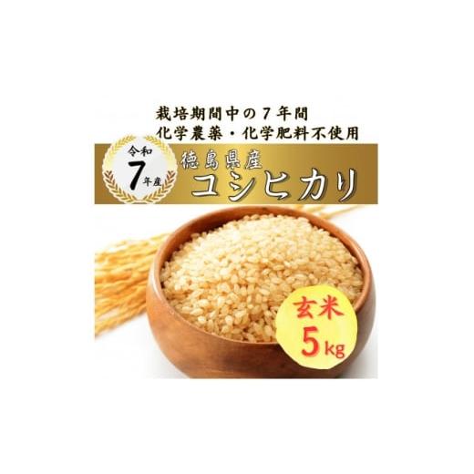 ふるさと納税 玄米 徳島県 阿南市 栽培期間中7年間化学農薬・化学肥料不使用 徳島県産コシヒカリ 5kg 玄米 1676515