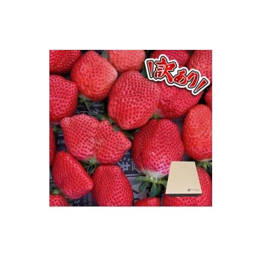 ふるさと納税 いちご 徳島県 阿南市 訳あり [300g×4パック]規格外いちご1200g 2種以上入ります。 1686327