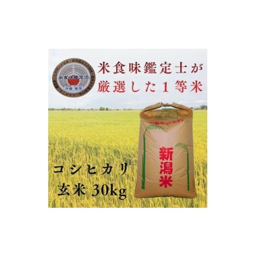 ふるさと納税 玄米 新潟県 関川村 R7年産 新潟県岩船産 コシヒカリ玄米30kg 米食味鑑定士が厳選吟味した1等米 青南総合農園 1693748