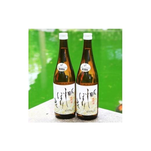 ふるさと納税 お酒 新潟県 関川村 冬季限定 12月下旬発送予定 蔵出し 〆張鶴しぼりたて生原酒720ml×2本 関川の味 1688688