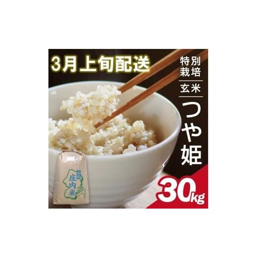 ふるさと納税 玄米 山形県 酒田市 3月上旬配送/令和7年産 玄米 特別栽培米 つや姫 30kg×1袋[太ももの会] FU SH0058 令和8年3月上旬配送