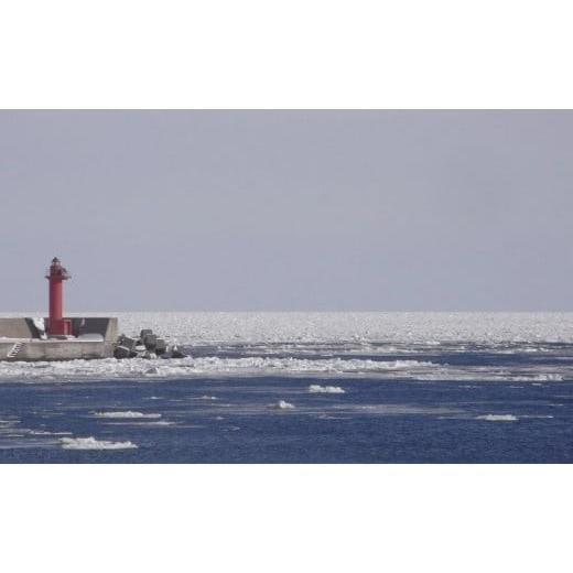 ふるさと納税 魚軟体動物 ホタテ 北海道 網走市 網走前浜産 無足し加えるホタテ内転筋 300g (300g×1 ホタテ ほたて 帆立 内転筋 ホタテ内転筋 ほたて内転筋 帆立貝柱 玉冷 ホタ…