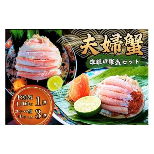 ふるさと納税 カニ ずわいガニ 京都府 宮津市 数量限定 夫婦蟹 甲羅盛セット 松葉蟹 ほぐし身(特々大) 活き蟹(1,100g級)とコッペがに(中サイズ3個) No.…