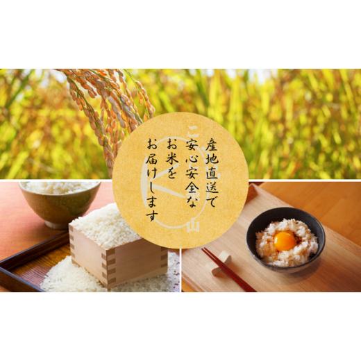 ふるさと納税 米 京都府 南丹市 No.5334-0739 定期便3回 令和7年産 にじのきらめき 10kg 美山町産 こと美山米_4