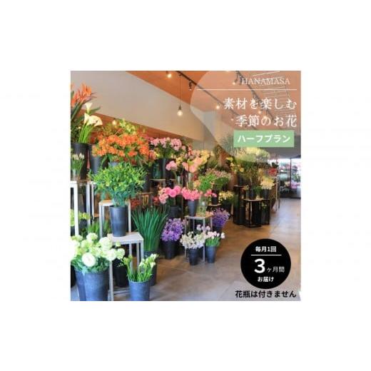 ふるさと納税 花・苗木 神奈川県 小田原市 素材を楽しむ季節のお花*ハーフ*(全3回)