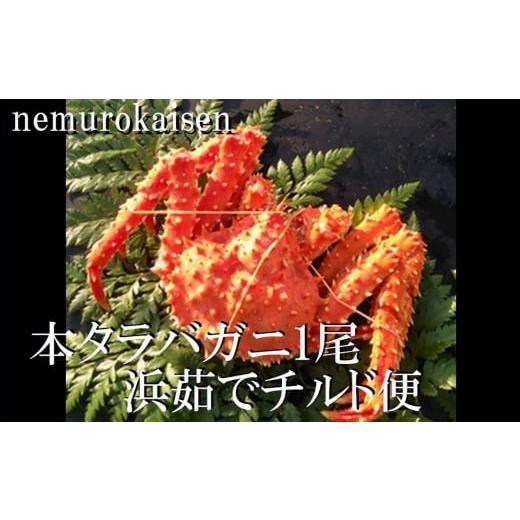ふるさと納税 カニ タラバガニ 北海道 根室市 D-57050 12/21まで年内配送 北海道根室産 (チルド便)本タラバガニ900g前後×1尾