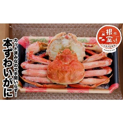 ふるさと納税 カニ ずわいガニ 北海道 根室市 G-58002 カット済みずわいがに姿500g〜550g前後×1尾の画像