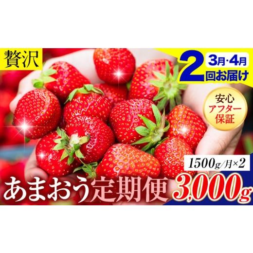 ふるさと納税 いちご 福岡県 鞍手町 2ヶ月定期便 いちご あまおう 先行予約 約1500g (約250g×6パック) くだもの 果物 着日指定不可 [2027年3月・4月頃出荷…