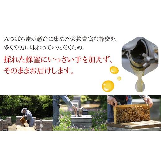 ふるさと納税 加工品等 はちみつ 岐阜県 大垣市  国産蜂蜜 季節の蜂蜜食べ比べ定期便 3回 (各90g×2回）  レンゲ 菜の花 もち とち 白花豆 大雪山 ｜ はち…の画像