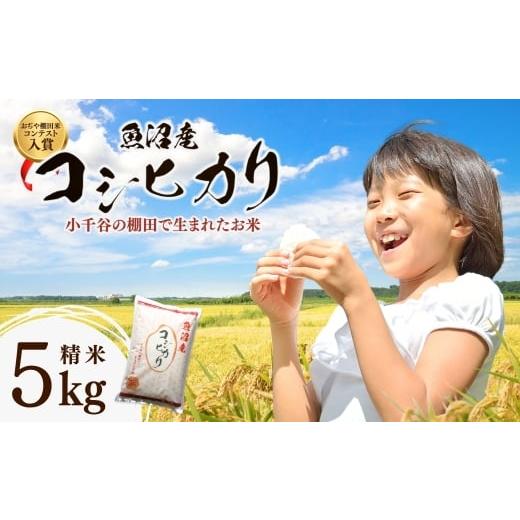 ふるさと納税 米 コシヒカリ 新潟県 小千谷市 スピード発送 決済から3営業日以内で発送します 令和7年産 魚沼産コシヒカリ おぢや棚田米コンテスト入賞者の栽…