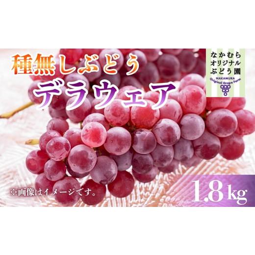 ふるさと納税 果物類 ぶどう 大阪府 河内長野市 2026年7月中旬〜順次発送 デラウェア 1.8kg 中村オリジナルぶどう園 l葡萄 ブドウ 小粒 果物 くだもの 果汁 …