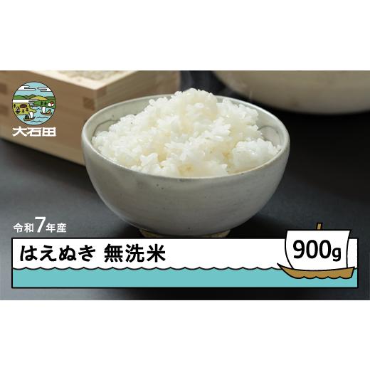 ふるさと納税 米 はえぬき 山形県 大石田町 米 令和7年産 はえぬき 無洗米 900g 順次発送 メール便 山形県産 東北 ap-hamxa900-0 順次発送