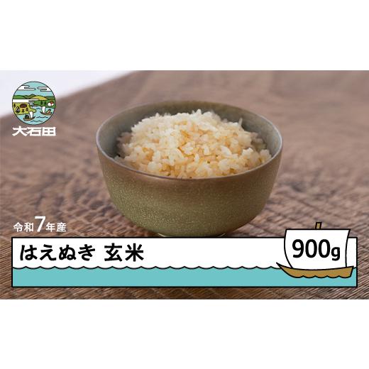 ふるさと納税 米 はえぬき 山形県 大石田町 米 令和7年産 はえぬき 玄米 900g 順次発送 メール便 山形県産 東北 ap-hagxa900-0 順次発送