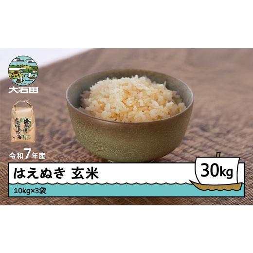 ふるさと納税 米 はえぬき 山形県 大石田町 米 令和7年産 はえぬき 玄米 30kg 10kg×3袋 5月下旬発送 山形県産 東北 ap-hagxa10x3-5s 5月下旬発送の画像