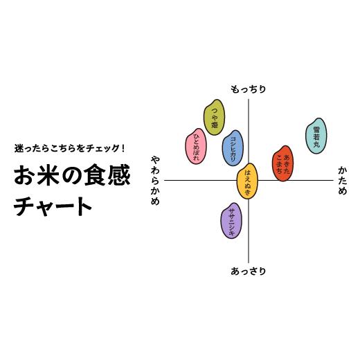 ふるさと納税 米 はえぬき 山形県 大石田町 米 令和7年産 はえぬき 玄米 30kg 10kg×3袋 5月下旬発送 山形県産 東北 ap-hagxa10x3-5s 5月下旬発送の画像