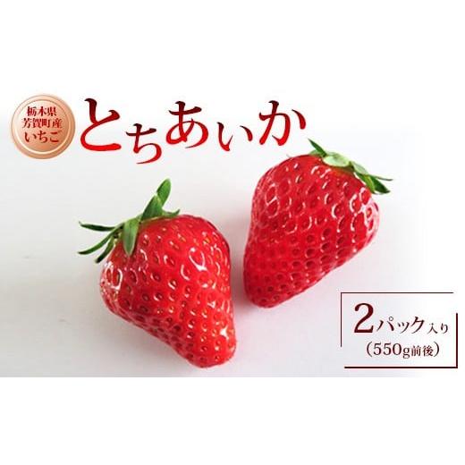 ふるさと納税 いちご 栃木県 芳賀町 栃木県産いちご とちあいか 2パック入り(550g前後)|果物 フルーツ 苺 イチゴ 朝採れ 新鮮 産地直送 栃木県 芳賀町 2025…