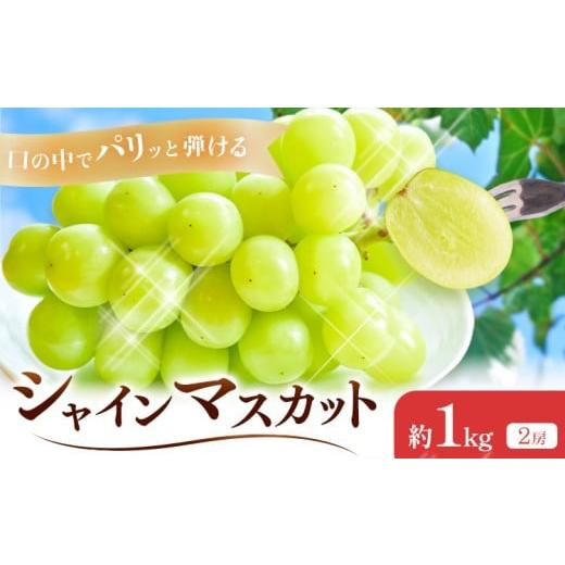 ふるさと納税 ぶどう マスカット 岡山県 浅口市 2026年先行予約 シャインマスカット 約1kg(2房) Kazu Farm[2026年9月上旬-10月中旬頃出荷] 岡山県 浅口市 …