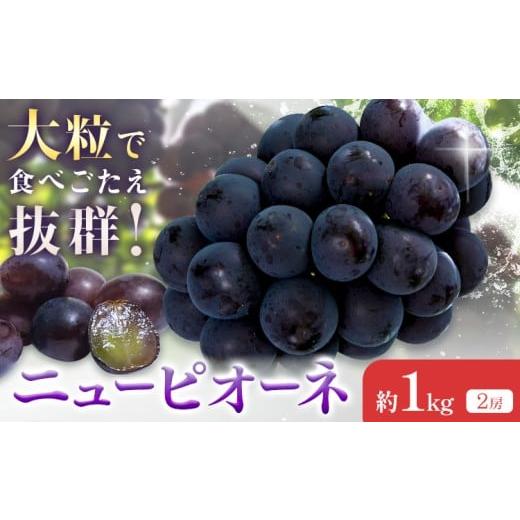 ふるさと納税 ぶどう 巨峰 岡山県 浅口市 2026年先行予約 ニューピオーネ 約1kg(2房) Kazu Farm[2026年8月下旬-9月下旬頃出荷] 岡山県 浅口市 岡山県産 ぶ…